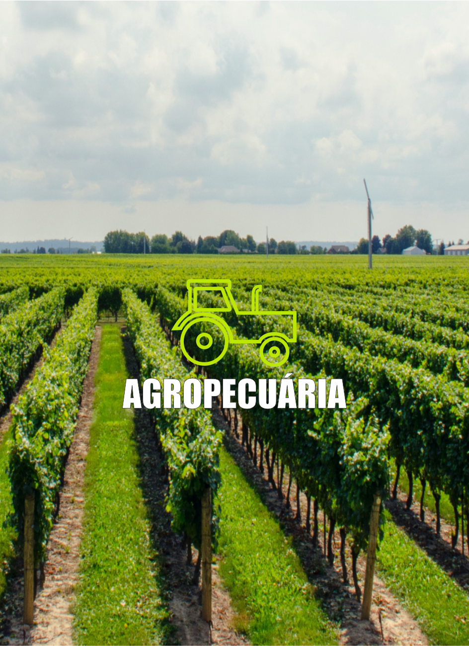 renexengenharia, sustentabilidade, energiasolar, energiafotovoltaica, energia elétrica, energia lima, sistema solar, placasolar, noticias energia solar, energia solar sp, energia solar são paulo, energia renovavel, energia renovaveis, investimento energia sistema fotovoltaico, energiasolarnobrasil, placa solar no brasil,  palcassp 